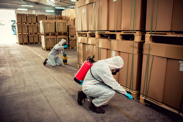 Best Wasp Removal Services  in Toro Nyon, CA
