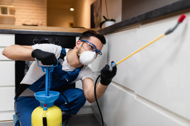 Trusted Toro Canyon, CA Pest Control Experts