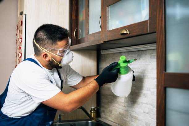 Best Affordable Pest Control Services  in Toro Nyon, CA