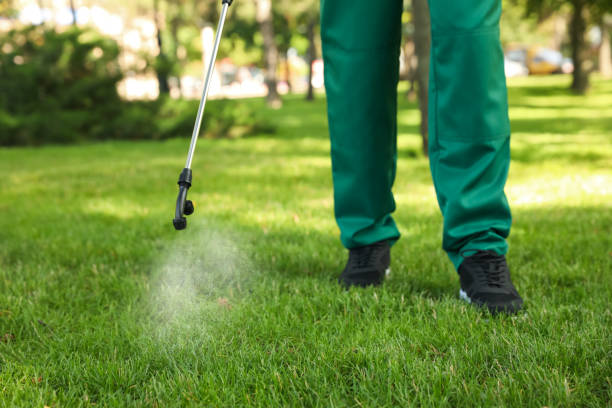 Best Best Pest Control Companies  in Toro Nyon, CA