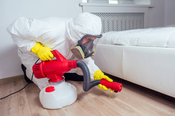 Best Flea Control Services  in Toro Nyon, CA