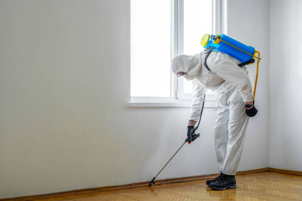 Pest Prevention Services in Toro Canyon, CA