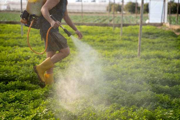 Best Residential Pest Control  in Toro Nyon, CA