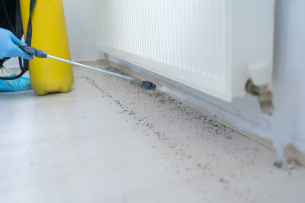 Best Pest Control for Restaurants  in Toro Nyon, CA