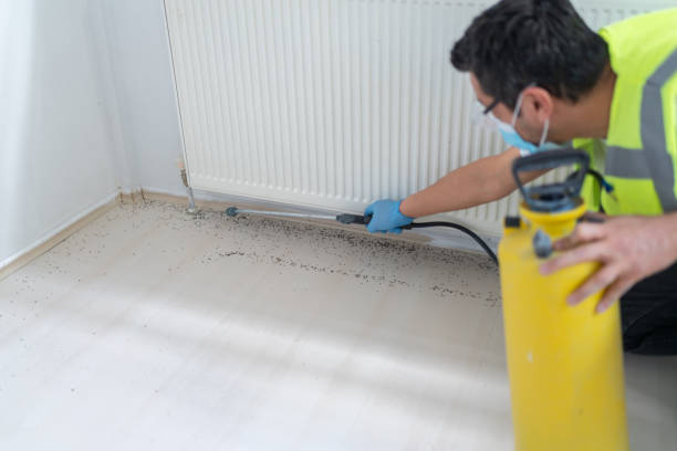 Best Local Pest Control Services  in Toro Nyon, CA