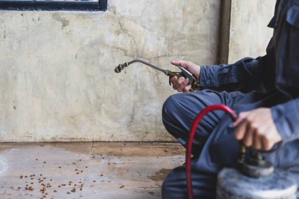 Best Pest Control for Homes  in Toro Nyon, CA